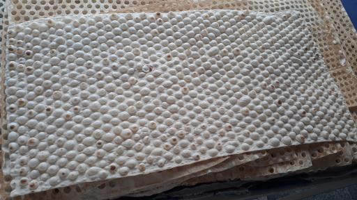 عکس لواشی محله