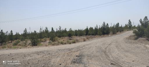 عکس پارک جنگلی خزاق 