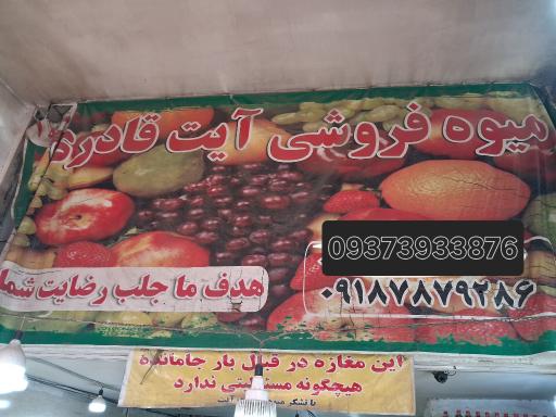 عکس میوه فروش  آیت شعبه  یک شاه محمدی 