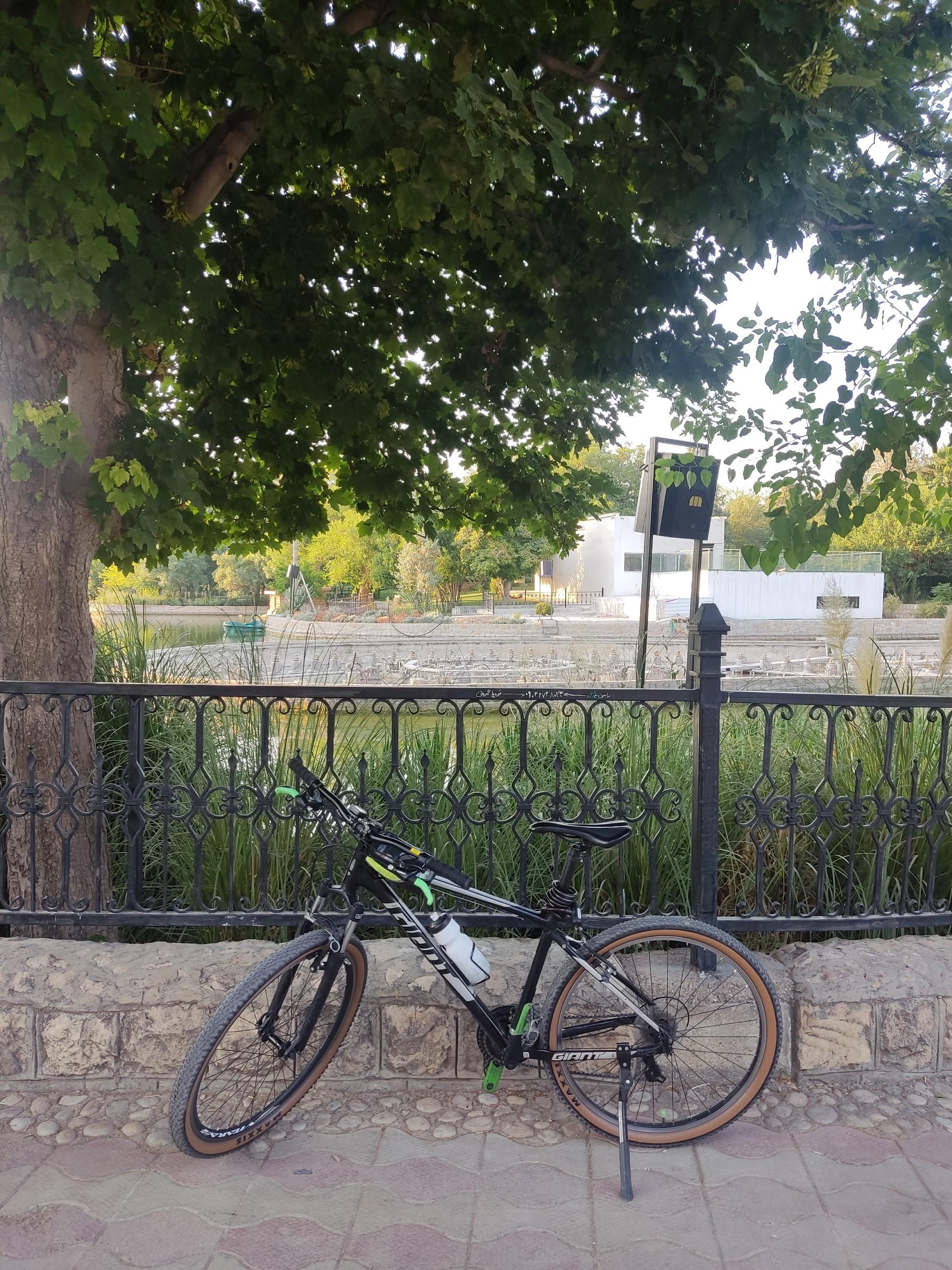 عکس دریاچه مصنوعی پارک آزادی