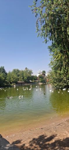 عکس دریاچه مصنوعی پارک آزادی