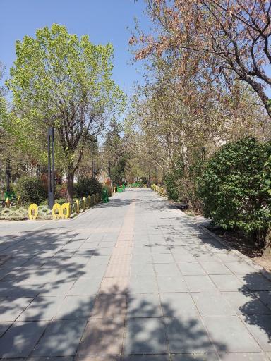 عکس بوستان بهار آزادی