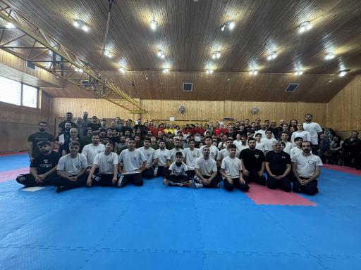 عکس مدرسه وینگ چون IWS