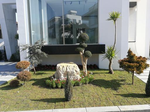 عکس گلخانه مادر