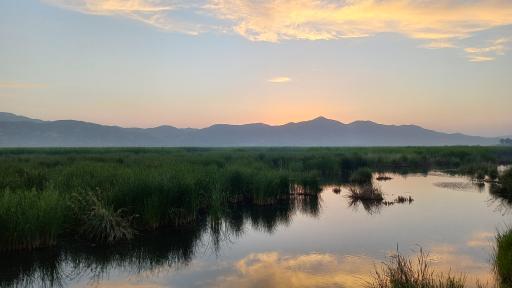 عکس دریاچه زریبار