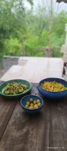 عکس اقامتگاه گیله وا