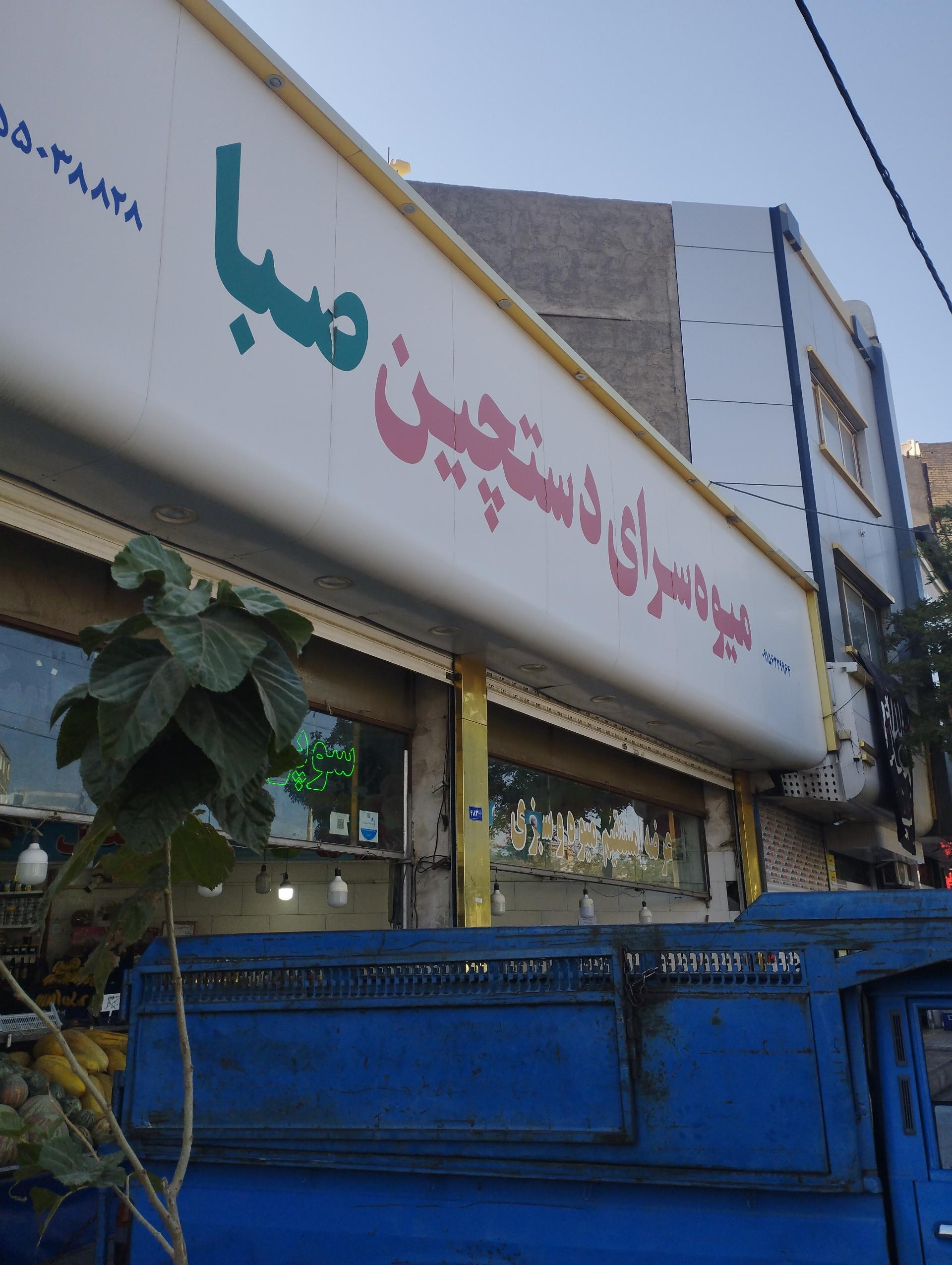 عکس میوه سبزی صبا