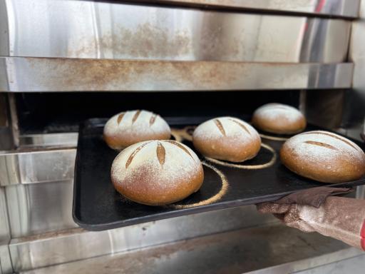 عکس نان فانتزی سپاس