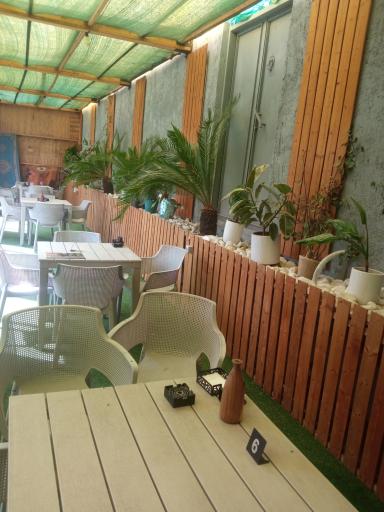 عکس کافه کارینو