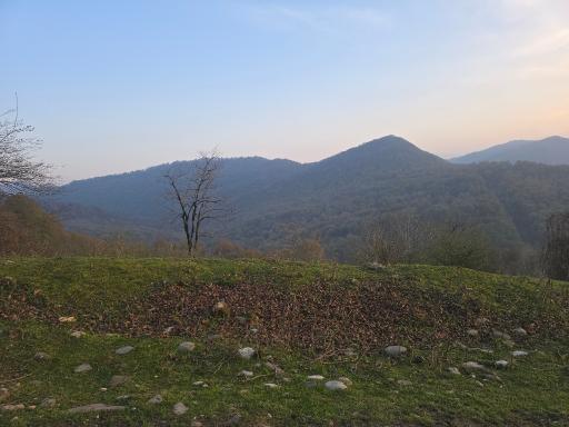 عکس پلنگ دره
