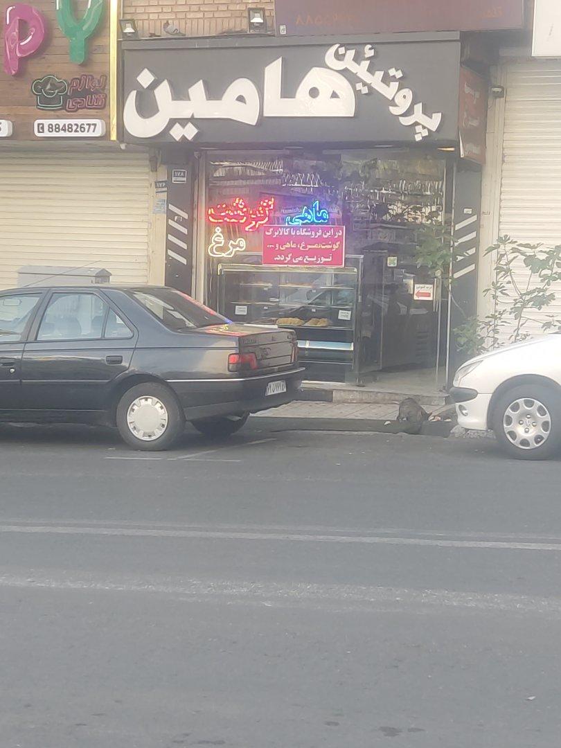 عکس پروتئین هامین