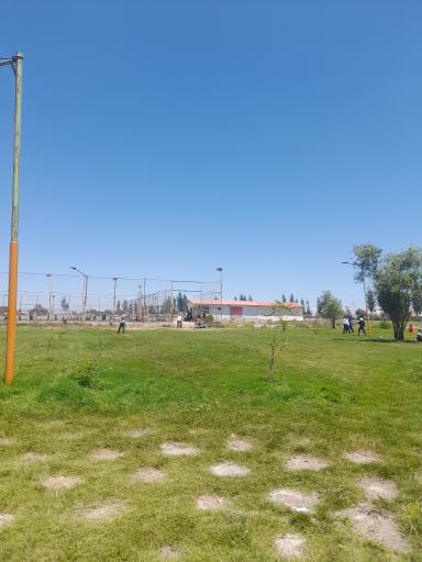عکس مدرسه فوتبال نام آوران جوان اردبیل