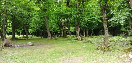 عکس اقامتگاه گیله وا