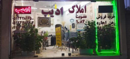 عکس املاک ادیب شاندیز