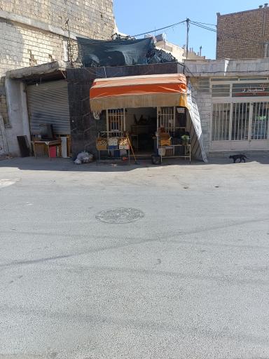 عکس میوه و سبزی چهارفصل