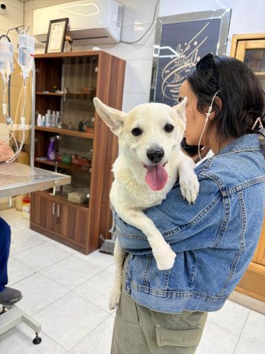 عکس درمانگاه دامپزشکی های پت