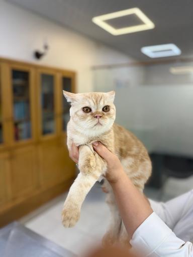 عکس درمانگاه دامپزشکی های پت