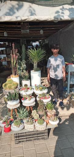 عکس باغ کسری