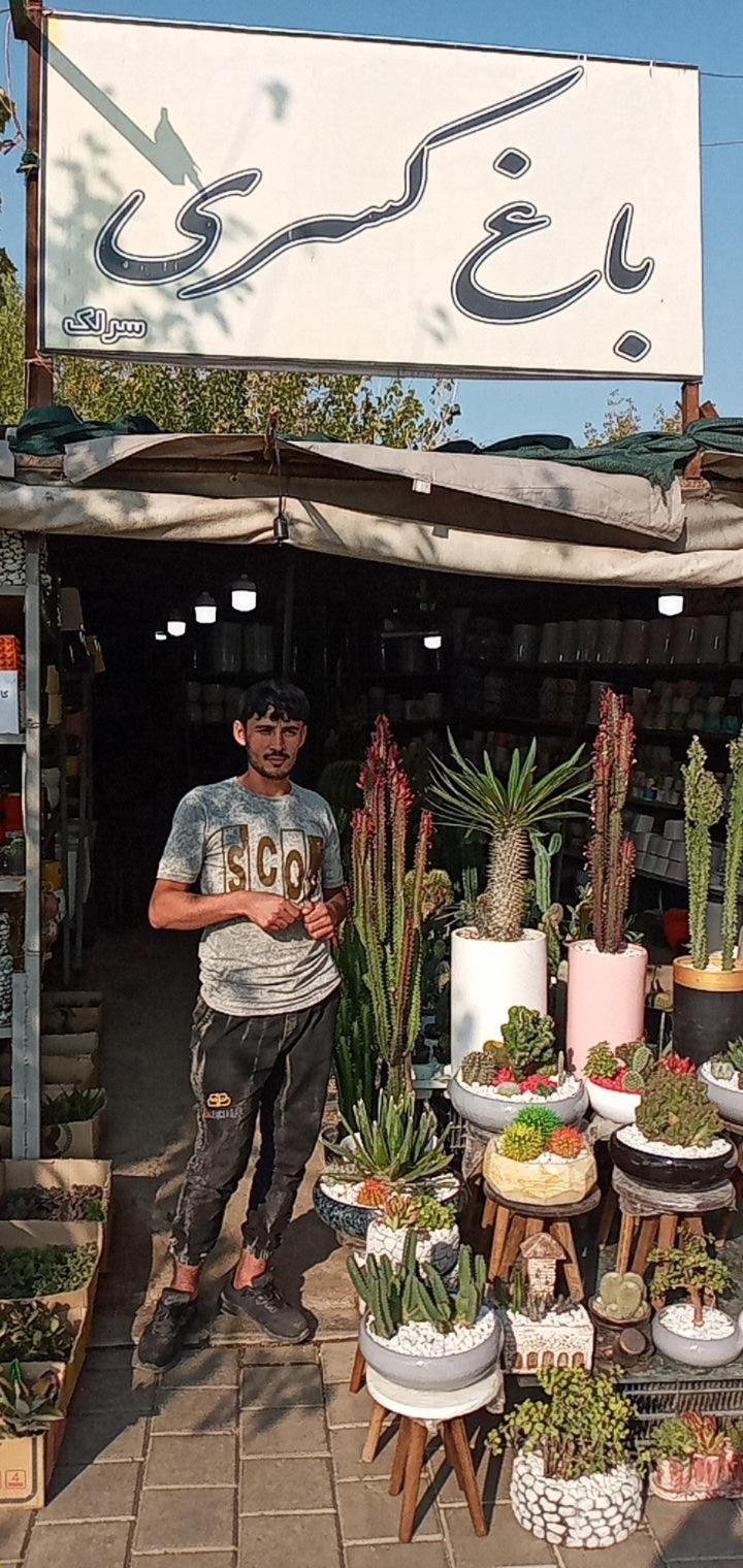 عکس باغ کسری