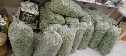 عکس آبگیری گل نرگس
