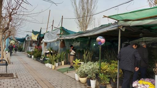 عکس باغ کسری