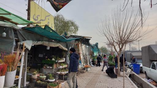 باغ کسری