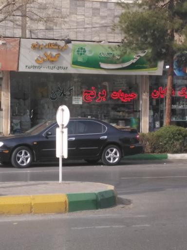 عکس برنج گیلان