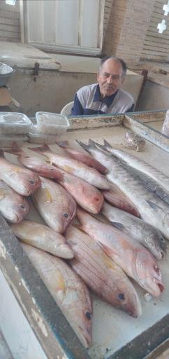 عکس بازار ماهی فروشان