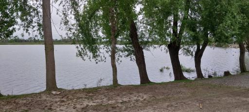 عکس تالاب شیرا