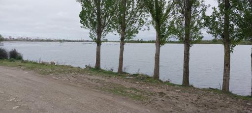 عکس تالاب شیرا