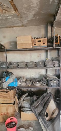 عکس استوک ماکسیما کوهساریان 