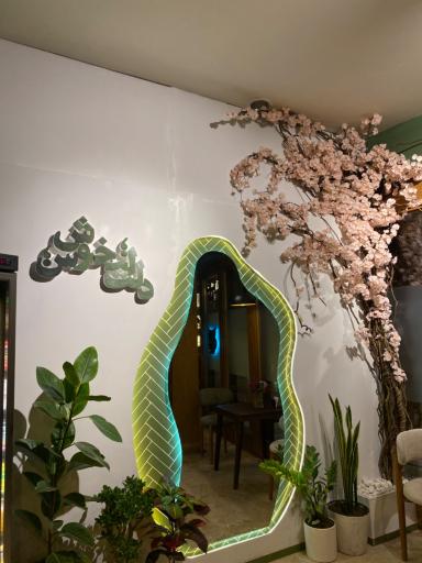 عکس کافه جغد