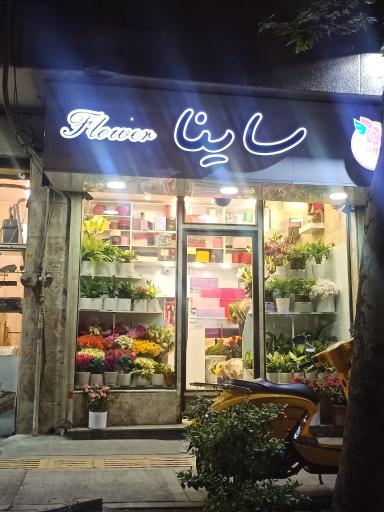 عکس گلفروشی ساینا