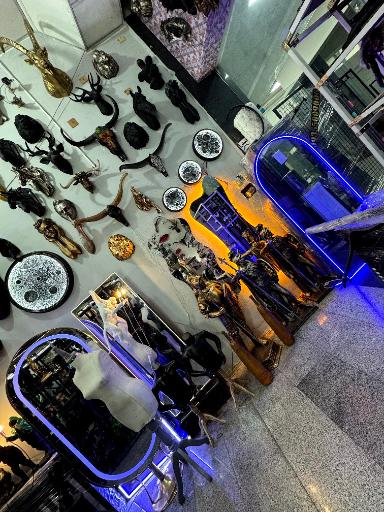 عکس رگال و مانکن محمدی