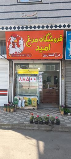 عکس فروشگاه مرغ امید