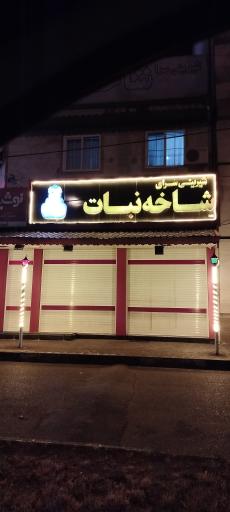 عکس قنادی شاخه نبات
