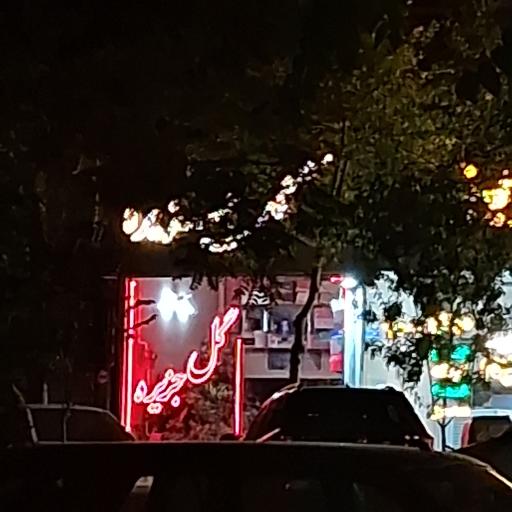 عکس گل جزیره