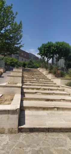 عکس بوستان لاله و لادن زیبا دشت