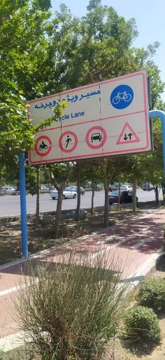 عکس بوستان لاله و لادن زیبا دشت