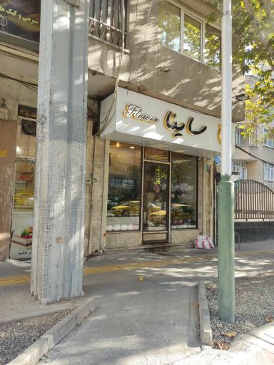 عکس گلفروشی ساینا