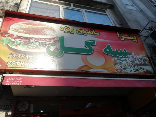 عکس پیتزا سه گل