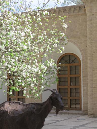 عکس موزه هنرهای معاصر صنعتی کرمان