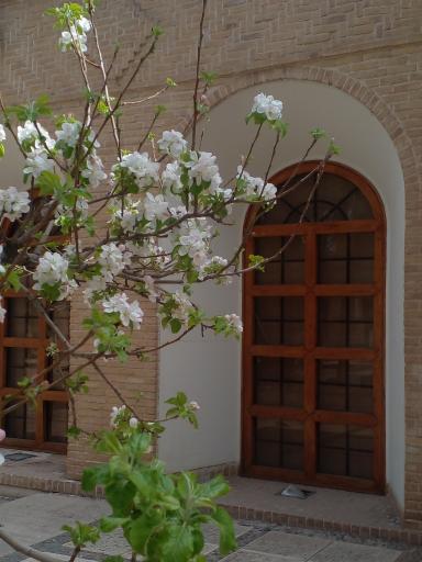 عکس موزه هنرهای معاصر صنعتی کرمان