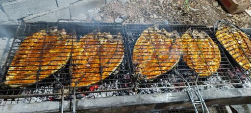 عکس باغچه و رستوران سنتی سهراب 