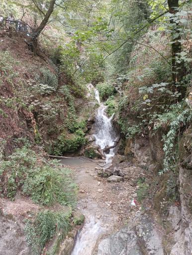 عکس جنگل کبودوال