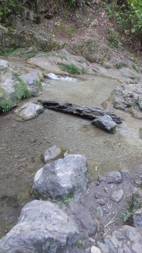 عکس جنگل کبودوال