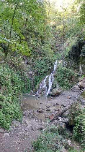 عکس جنگل کبودوال