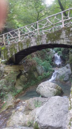 عکس جنگل کبودوال