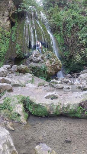 عکس جنگل کبودوال