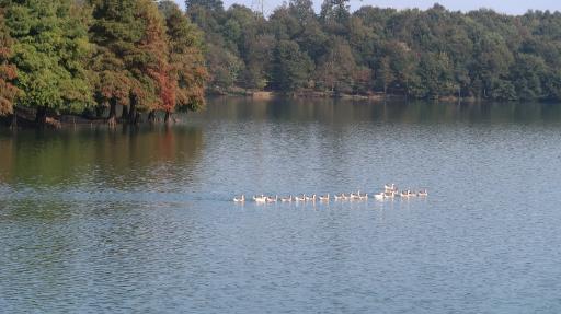 عکس دریاچه سد آبیدر (آویدر)